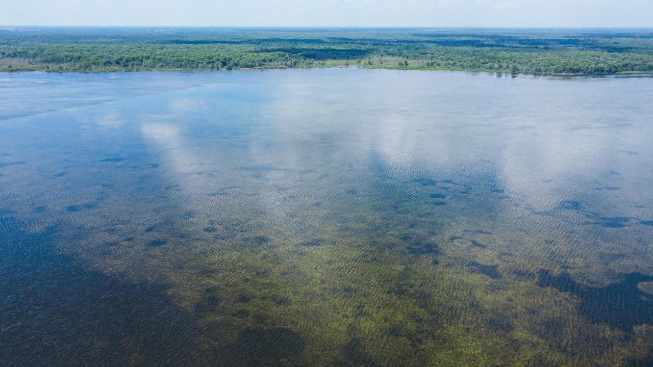 Lake Panasoffkee Idlewild Lodge And Rv Park מראה חיצוני תמונה